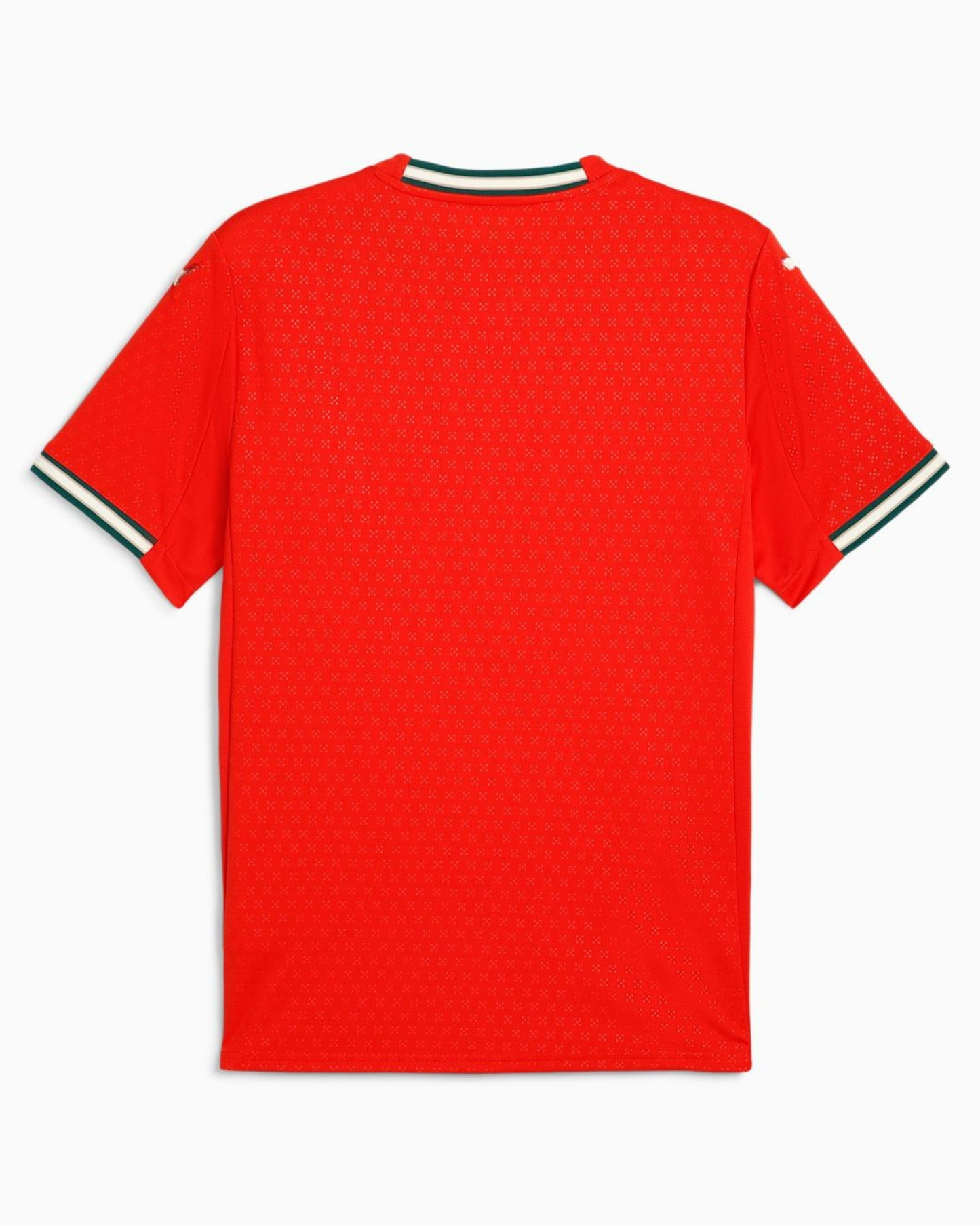 PORTUGAL HOME 2025 - DRY CELL PERFORMANCE JERSEY